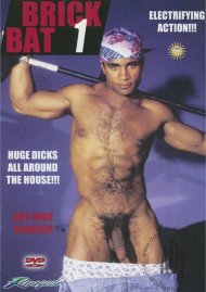 Brick Bat 1 Brick Bat 1 Boxcover