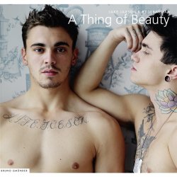 Thing of Beauty, A Sex Toy Thing of Beauty, A Sex Toy