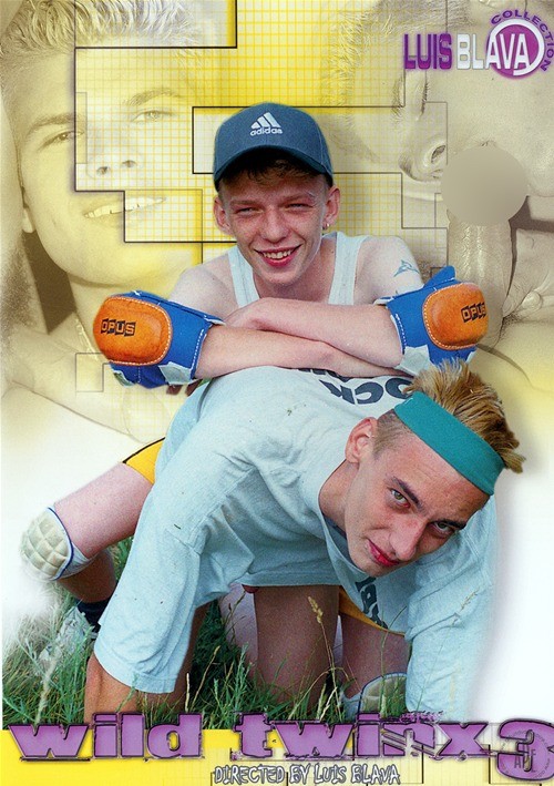 Wild Twinks 3 Boxcover