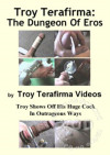 Troy Terafirma: The Dungeon Of Eros Boxcover
