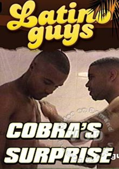 Cobra's Surprise Boxcover