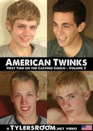 American Twinks 2 Boxcover