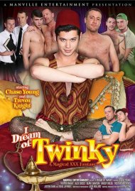 I Dream Of Twinky I Dream Of Twinky Boxcover
