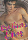 Hot Horny & Hung Boxcover