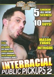 Interracial Public Pickups 2 Boxcover