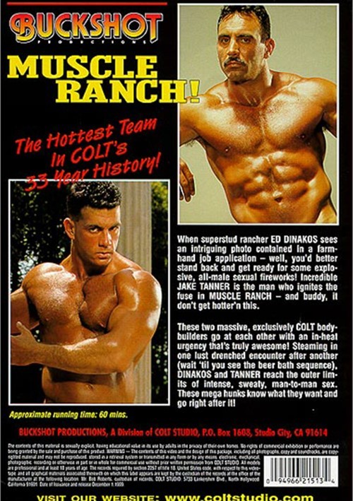 dvd gay muscle want to be shemale
