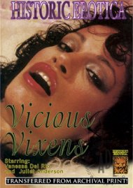 Vicious Vixens Boxcover