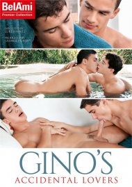 Gino's Accidental Lovers Boxcover
