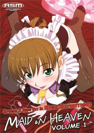 Maid in Heaven Boxcover