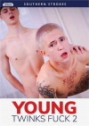 Young Twinks Fuck 2 Boxcover