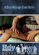 Boys Massage Goes Horny, A Boxcover