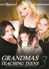 Grandmas Teaching Teens 3 Boxcover