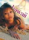 Leid In Hawaii Boxcover