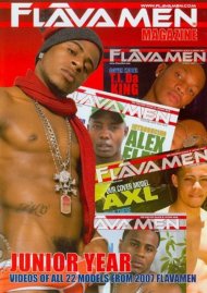 Flavamen - Junior Year Boxcover