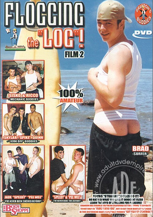 Flogging the "Log"! Film 2 Boxcover