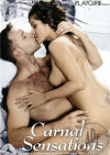 Playgirl: Carnal Sensations Boxcover