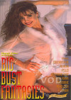 Big Bust Fantasies Boxcover