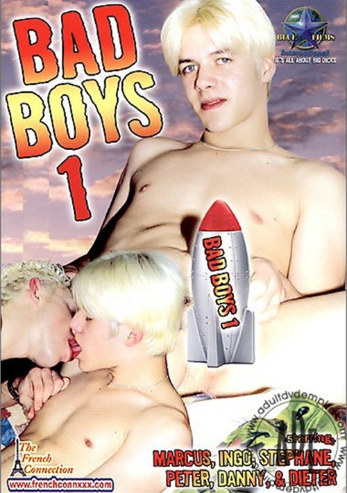 Bad Boys 1 Boxcover