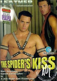 Spider's Kiss, The Boxcover