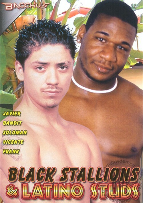 Spanish Porn Movies Watch And Black - Black Stallions & Latino Studs (2011) by Bacchus - GayHotMovies