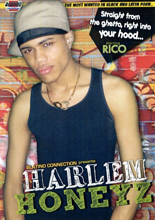 Harlem Honeyz (Blatino Connection) Boxcover