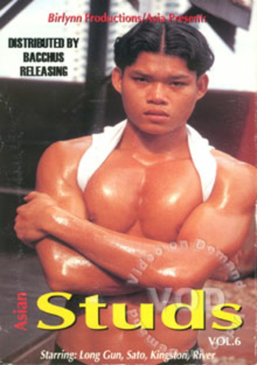 Asian Studs Vol. 6 Boxcover