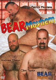 Bear Mayhem Boxcover