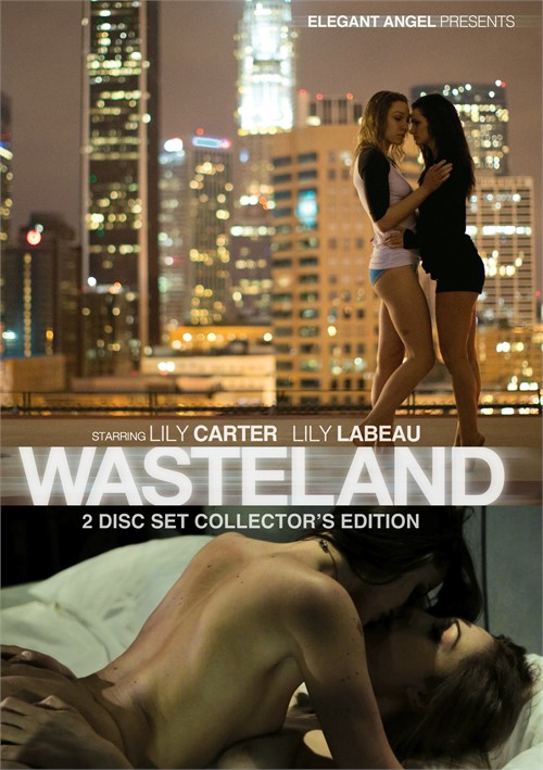 Wasteland Boxcover