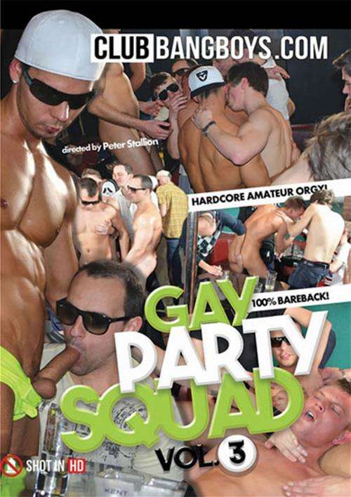 Gay Party Squad Vol. 3 Boxcover