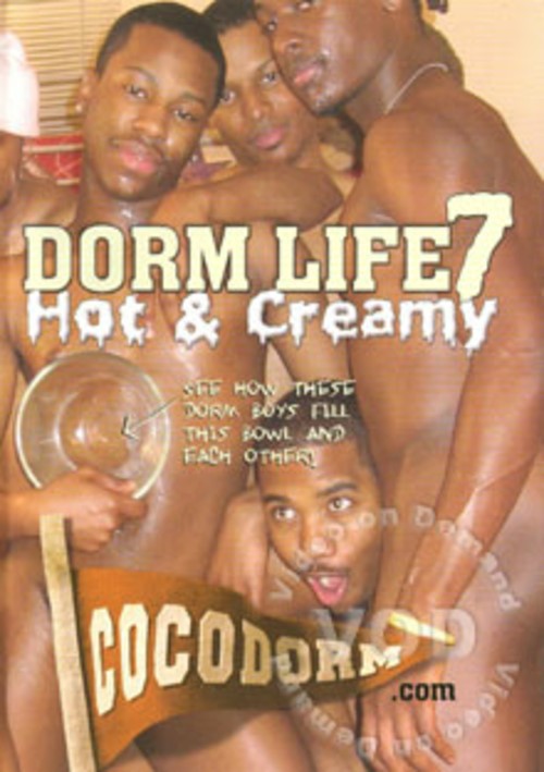 Dorm Life 7 - Hot & Creamy Boxcover