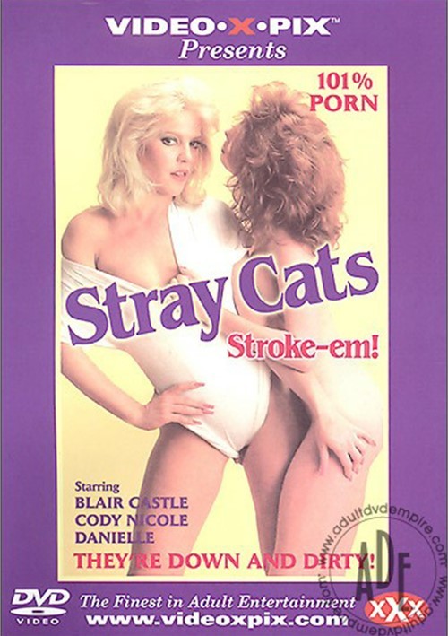 Stray Cats: Stroke-em!