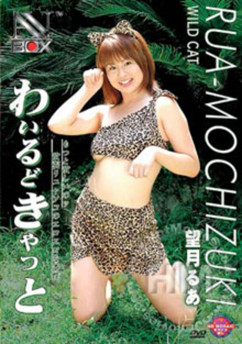 Wild Cat - Kaoru Umemiya