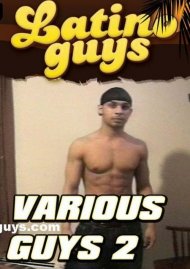 Various Guys 2 Boxcover