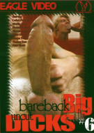 Bareback Big Uncut Dicks 6 Boxcover