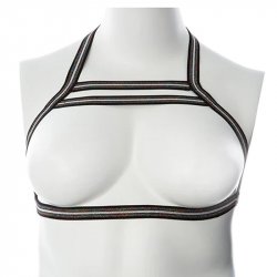 Gender Fluid: Silver Lining Rainbow Glitter Silver Harness - S-L Gender Fluid: Silver Lining Rainbow Glitter Silver Harness - S-L Boxcover