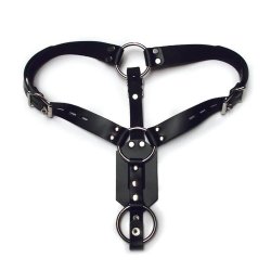 Kinklab Butt Plug Harness with Cock Ring Boxcover