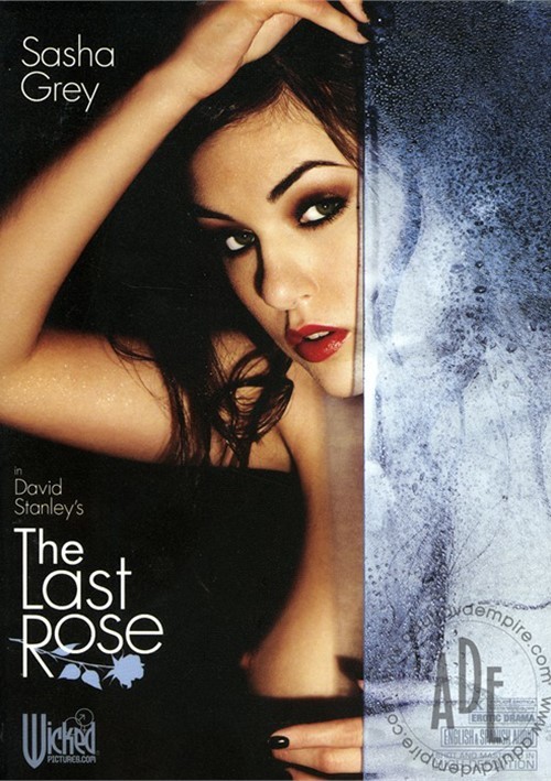 Last Rose, The