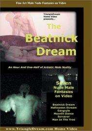 Beatnick Dream, The Boxcover