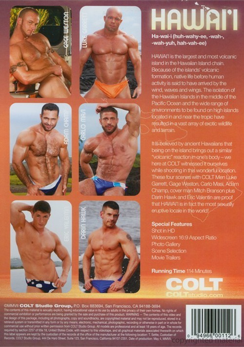 Hawai'i | Colt Studio Gay Porn Movies @ Gay DVD Empire