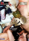 BDSM 20 Boxcover