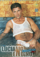 Luciano Endino Collection Vol. 1, The Boxcover