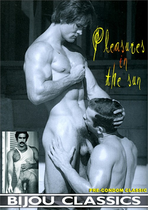 Pleasures in the Sun Boxcover