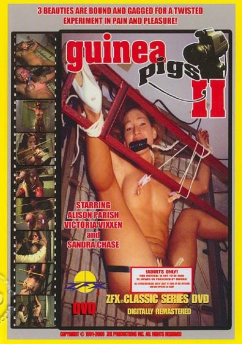 Guinea Pigs II 1993  ZFX Productions Adult DVD Empire 