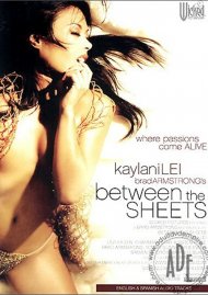 Between The Sheets Boxcover