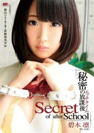 S Model 150: Secret Of After School S Model 150: Secret Of After School Boxcover