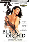 Black Orchid Boxcover