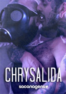 Chrysalida Boxcover