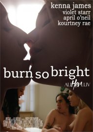 Burn So Bright Boxcover