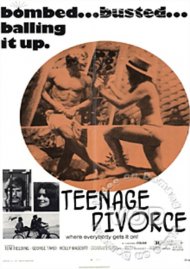 Teenage Divorce Boxcover