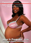 Skye Is Pregnant Boxcover